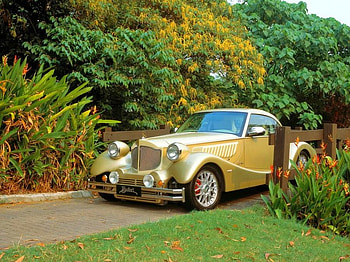 Golden Car, golden, beautiful, car HD wallpaper