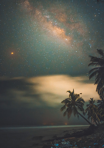 Nature, Night, Palms, Shore, Bank, Starry Sky, Tropics HD phone wallpaper