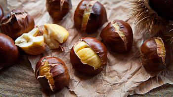 Esskastanie, Valuable ingredient, WWF blog, Nature conservation HD wallpaper