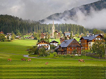 Village on the Hill, house, grass, mountain, fog, cows, animals, green, trees, nature, sky, forest, hill HD wallpaper