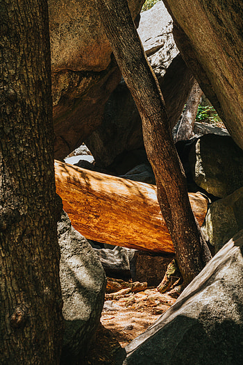 Rock, Wood, Wooden, Texture, Textures, Stone, Logs HD phone wallpaper