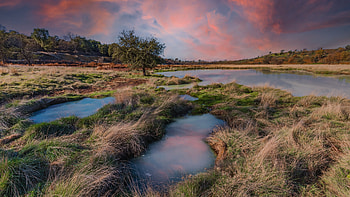 Field Sky, Field, nature, cloud, Sky HD wallpaper