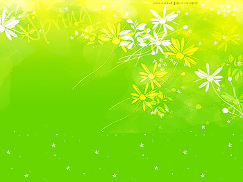 spring jpg, white, gren yellow, flower HD wallpaper