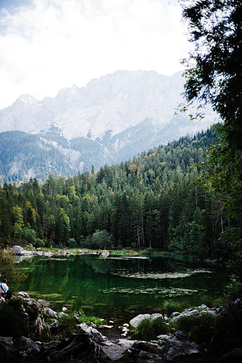 Nature, Trees, Mountains, Rocks, Lake, Branch HD phone wallpaper