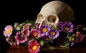 Skull Flowers Black Background At Dark HD wallpaper