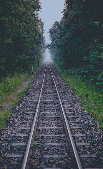 Nature, Road, Forest, Dahl, Distance, Rails HD phone wallpaper
