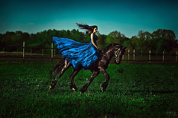 Gone with the wind, blue, horse, model, girl, dress, woman, wind, green, svetlana belyaeva HD wallpaper