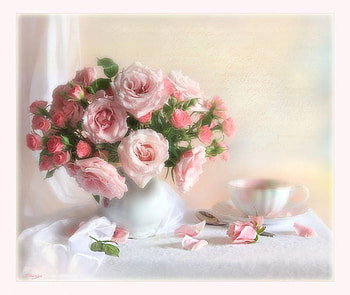Still life, rose, white, light, flower, pink roses, flowers HD wallpaper