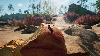 Empire of the Ants, video game, Empire of the Ants, ant HD wallpaper