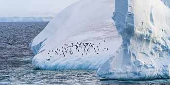 Cruises to Antarctica, Falkland Islands, Patagonia expeditions HD wallpaper