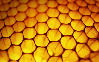 Windows 8.1 Background 1, computer graphics, art, high quality, illustration, artwork, wide screen, Windows 8, painting, abstract HD wallpaper