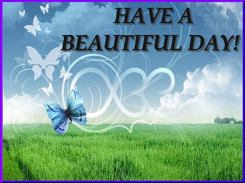 HAVE A BEAUTIFUL DAY !!!!!!!!!!!, , blue, butterfly, beauty HD wallpaper