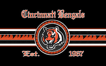 2014 Cincinnati Bengals NFL Logo Wide or | Sports . HD wallpaper