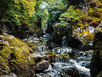 Fairy Glen Betws Y Coed Wales, wales, fairy, river, glen, forest HD wallpaper