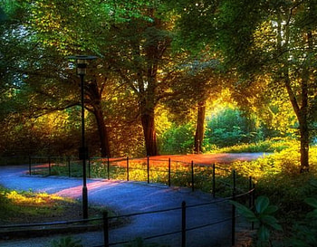ROMANTIC PLACE, roman, place HD wallpaper