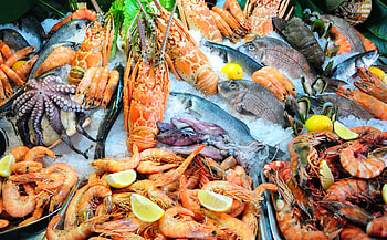 Seafood , Seafood delicacies, Fresh seafood, Seafood dish HD wallpaper