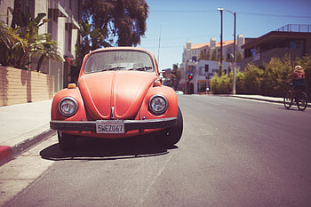 Volkswagen Beetle, Volkswagen, Vehicles HD wallpaper