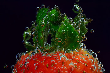 Strawberry, Drops, Macro, Close-Up, Berry HD wallpaper