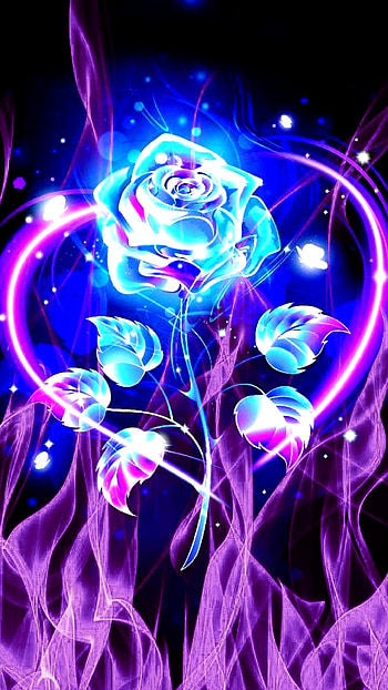 Fire with rose, magenta, art HD phone wallpaper
