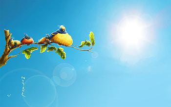 Sun Birds, birds, artist HD wallpaper