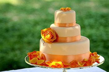Food, Desert, Flower, Rose Flower, Rose, Petals, Cake, Tape, Big, Large, Tasty, Delicious, Sweets, Ribbon HD wallpaper