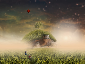 Fantasy, turtle, creative, green, grass, girl, luminos HD wallpaper