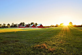 Beautiful sunset over a rural farm in Sweden with red barns and lush fields. HD wallpaper