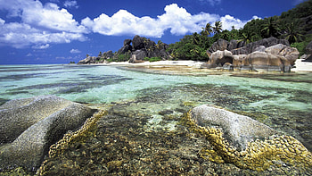 Bahamas , Island vibes, Exotic scenery, Splendid beauty HD wallpaper