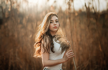 Girl in corn field, blonde & beautiful model HD wallpaper