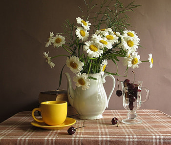 still life, abstract, graphy, vase, flowers HD wallpaper