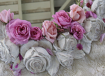 roses, pink, nature, flowers HD wallpaper