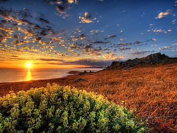 Beach sunset, sunlight, glowing, sunrise, nice, beach, reflection, sands, shine, sunset, sundown, meadow, beautiful, grass, orange, sun rays, summer, mirrored, pretty, field, light, red, clouds, nature, sky, flowers, lovely HD wallpaper