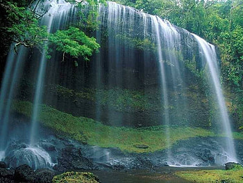 falls, forest HD wallpaper
