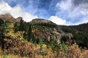 Nature, Trees, Sky, Rocks, Spruce, Fir HD wallpaper