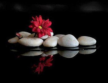 Still Life, spa, reflection, stones, flower HD wallpaper
