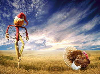 Holidays, Sky, Halloween, Holiday, Field, Turkey, Scarecrow HD wallpaper