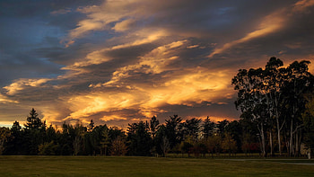 Ashburton - New Zealand, colors, landscape, clouds, sky, sunset, tree HD wallpaper