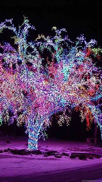 Christmas Lightings, Decorative Tree HD phone wallpaper