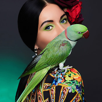 lady, model, graphy, beauty HD wallpaper