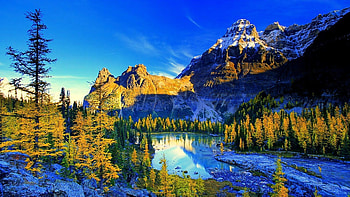 scenery , Exquisite natural landscapes, Awe-inspiring views, Scenic wonders HD wallpaper