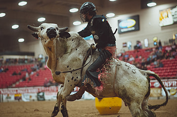 American rodeo atmosphere, Captivating graphy, Fascinating people, Memorable moments HD wallpaper
