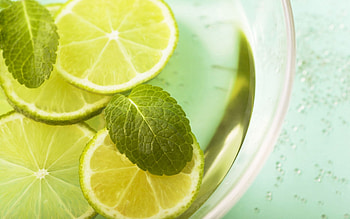 Food, Leaves, Lemon, Lobules, Slices, Mint, Lemonade HD wallpaper