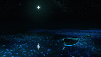 Life of Pi, Life of Pi , Top-quality backgrounds, Artistic ry HD wallpaper