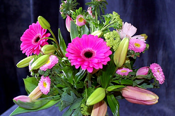 Bouquets, Gerberas, Tulips, Flowers, Bellis HD wallpaper