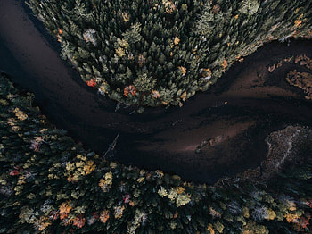 Aerial view, autumn, trees HD wallpaper