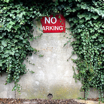 Plant, Miscellanea, Miscellaneous, Wall, Inscription, Prohibited HD phone wallpaper