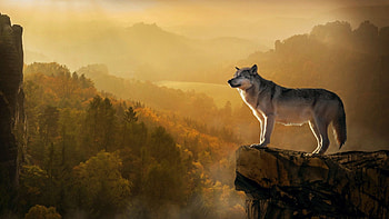 Master of the Valley , clouds, landscape, sky, mountains, wolf HD wallpaper