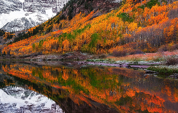 Fall Foliage Forest Lake Nature Reflection, reflection, nature, lake, forest HD wallpaper