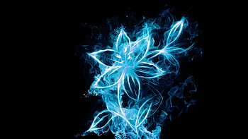 Abstract Black Background Flowers Lights Plants HD wallpaper