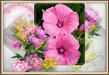 FRAMED FLOWERS, FLOWERS, NATURE, FRAMED HD wallpaper